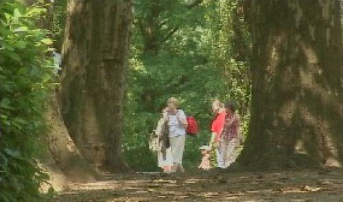 Tourisme : bilan mitigé pour juillet
