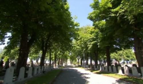 AoÍ»t 14-18 : la bataille du cimetière de Rhees