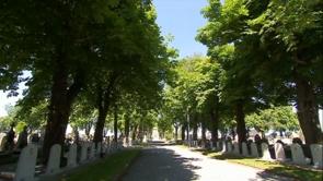 AoÍ»t 14-18 : la bataille du cimetière de Rhees