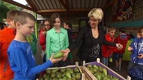 Aywaille : 1500 élèves reçoivent des poires