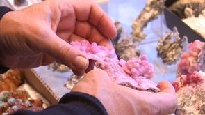 Découverte : les minéraux au Palais des Congrès