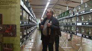 Vaux-Borset : une expositon d'oiseaux de nos régions