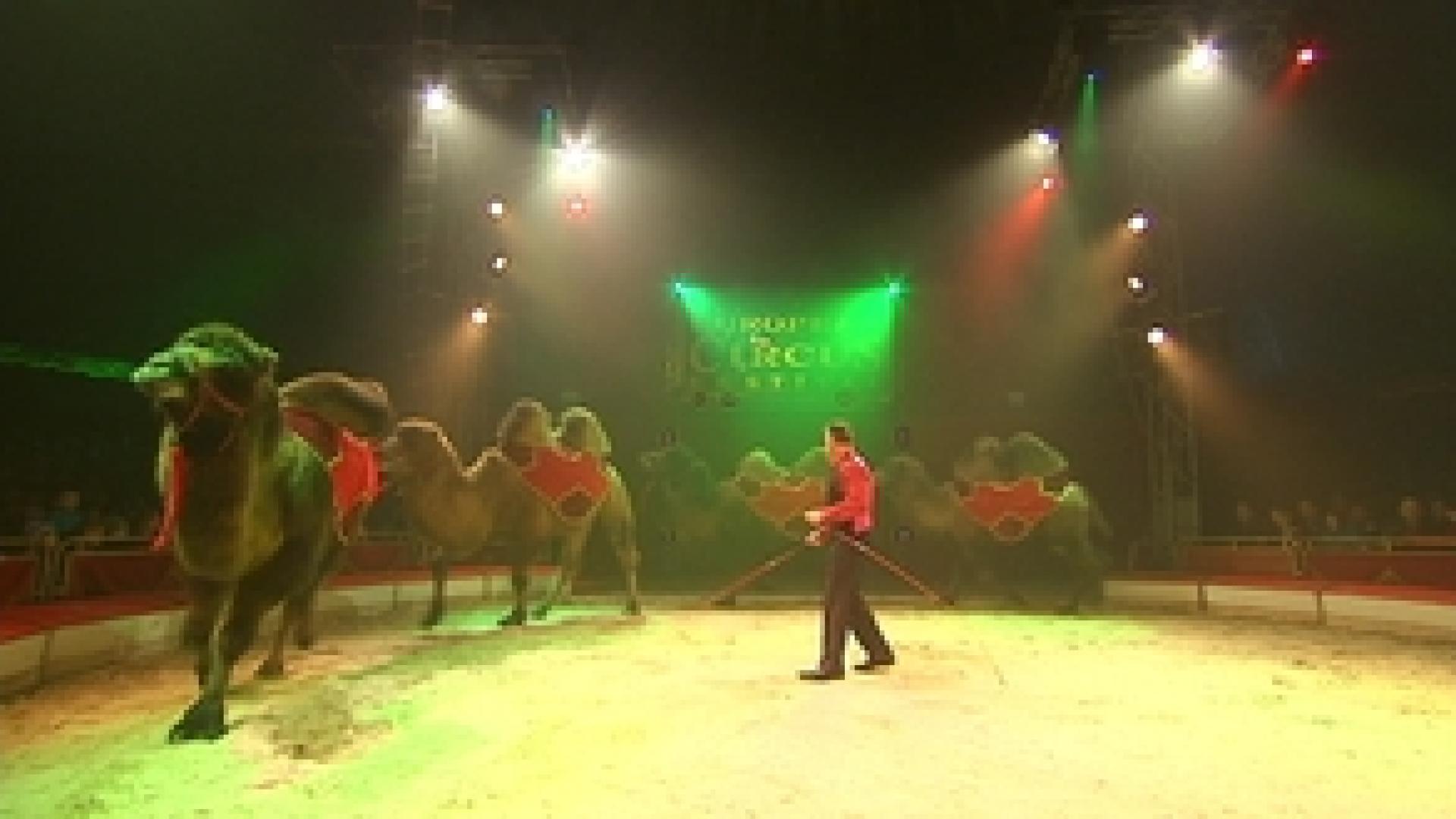 Le festival du cirque à Liège