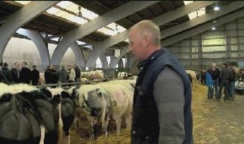 Via Eurégio n°16 : TV Limburg BE