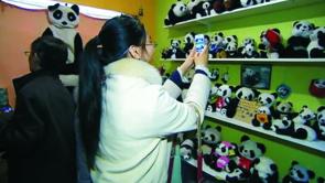 Oupeye : sélection pour un voyage au pays des pandas