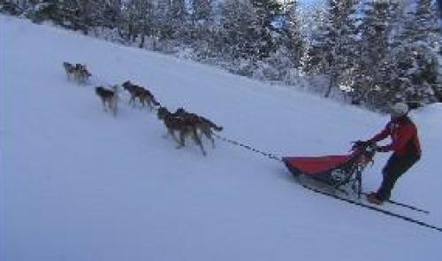 Jean-Luc Dawans, musher...