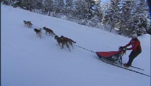 Jean-Luc Dawans, musher...
