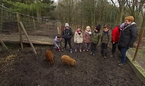 Stage à la ferme des enfants