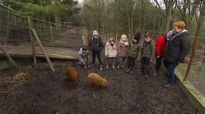 Stage à la ferme des enfants