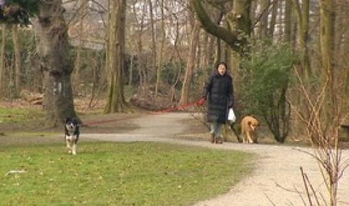Parc de la Chartreuse : le renouveau du site