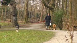 Parc de la Chartreuse : le renouveau du site