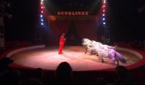 Le Cirque Bouglione sur l' Esplanade St Léonard
