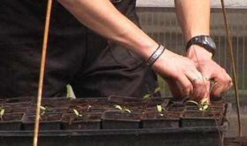 Jardin et potager : il faut être encore un peu patient