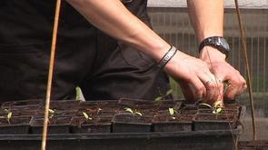 Jardin et potager : il faut être encore un peu patient