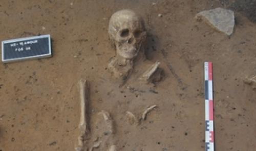 Une nécropole mérovingienne découverte à Herstal