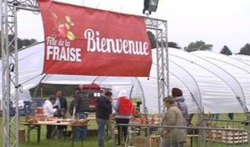 Fête de la fraise à Hannut
