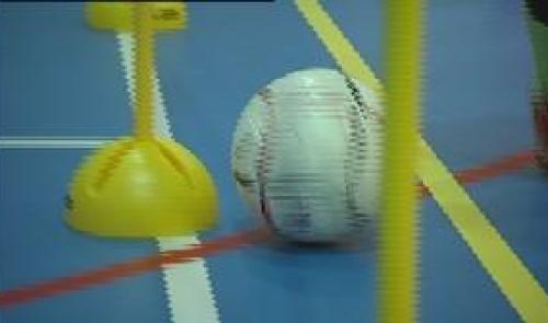 Futsal : Ecole Fléron