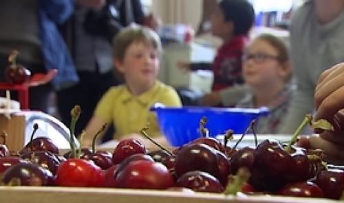 Fruits et légumes : l'école du Laveu participe au programme européen