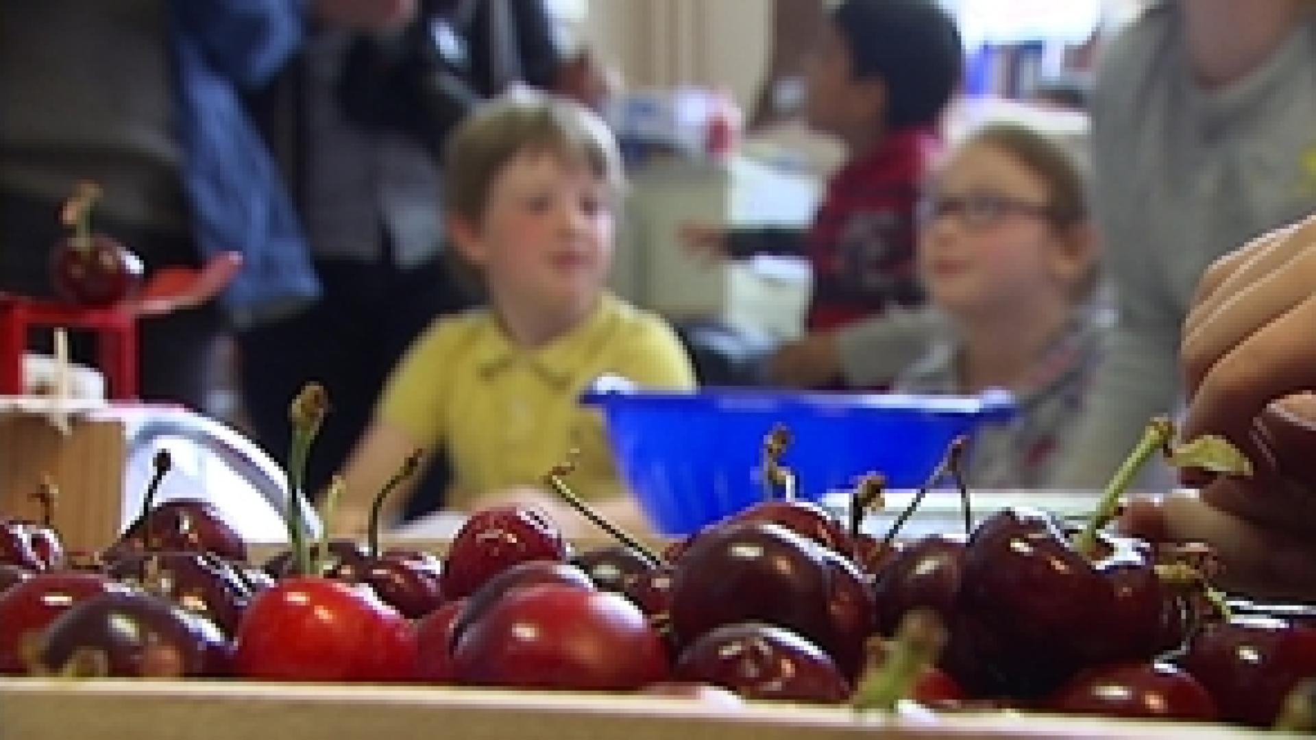 Fruits et légumes : l'école du Laveu participe au programme européen
