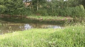 Contrat de Rivière Meuse Aval: 4 frayères réaménagées