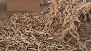 L'Ecocale: alternative écologique à la mousse de calage en intérieur de caisse
