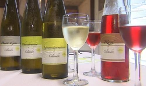 Flémalle : viticulteur au Mont des Pennes
