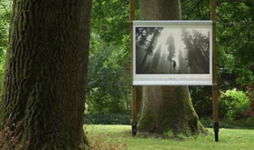 Marchin : Journées de la forêt