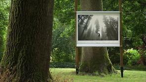 Marchin : Journées de la forêt