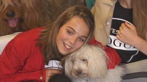 CHR : l'asbl  Un chien pour un sourire 