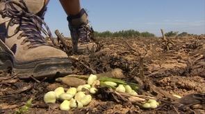 Les agriculteurs s'activent