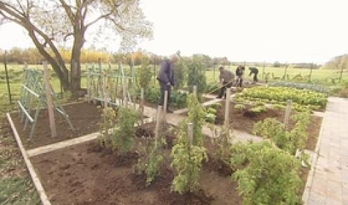 Potagers : quels travaux à la Toussaint ?