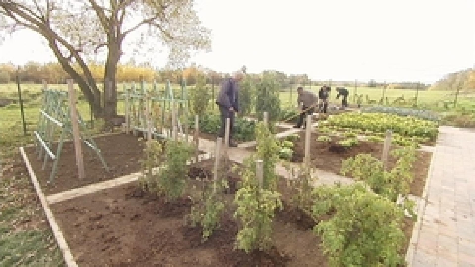 Potagers : quels travaux à la Toussaint ?