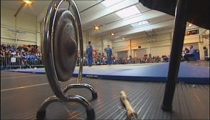 Vovinam Viêt Vo Dao 