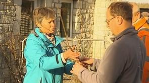 Semaine de l'arbre : distribution gratuite à Flémalle et Modave