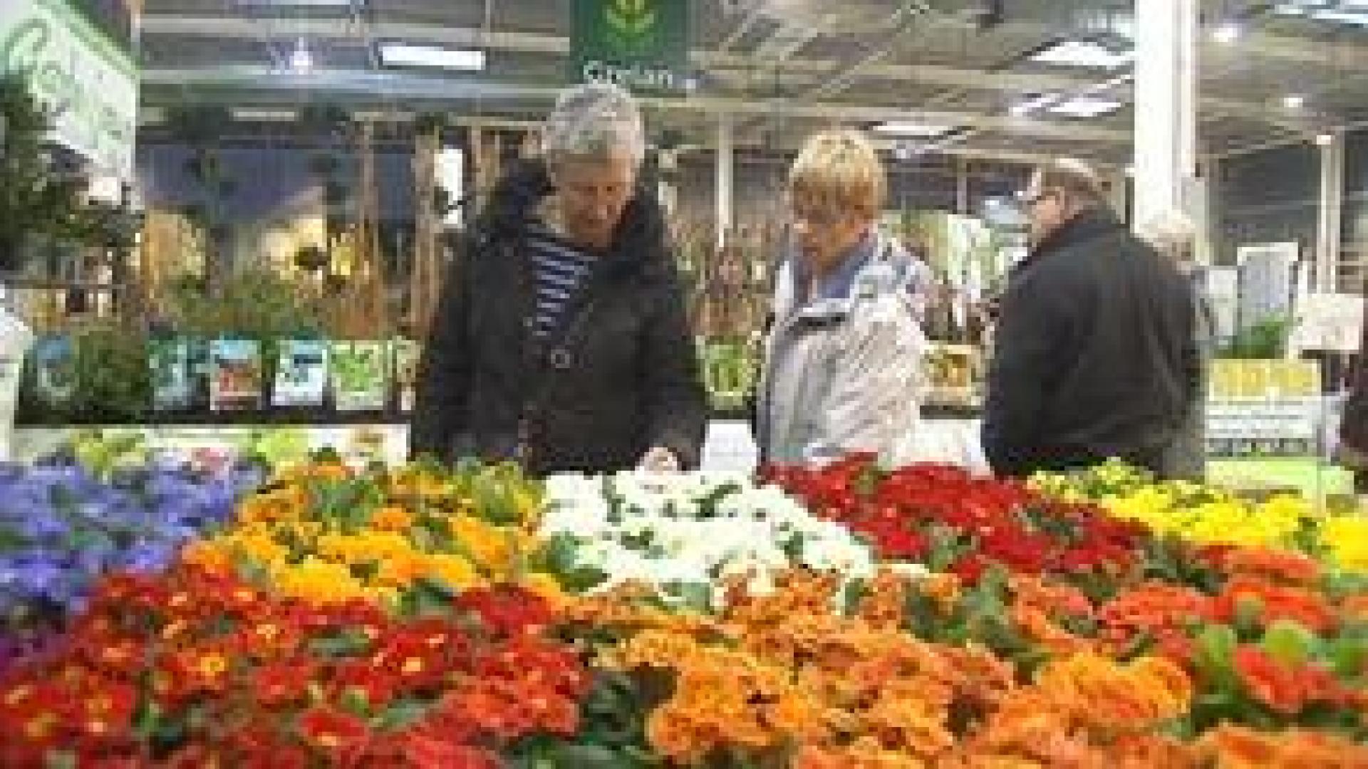 Jardinexpo : une 9ème édition sous le sceau du confort et du bien-être au jardin