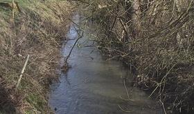 Geer : traitement biologique de la rivière