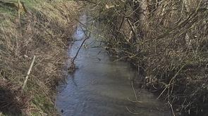 Geer : traitement biologique de la rivière