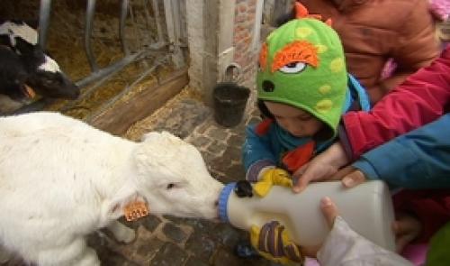 Faimes : une ferme pédagogique
