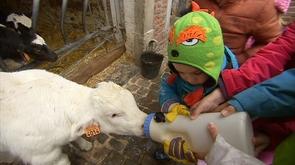 Faimes : une ferme pédagogique