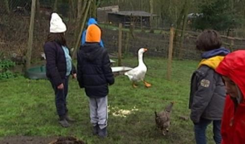 Stage à la ferme des enfants