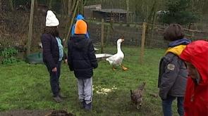 Stage à la ferme des enfants