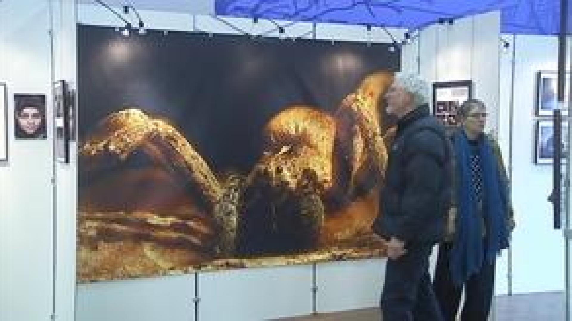 Huy : l'exposition annuelle du Royal Photo Club de Huy