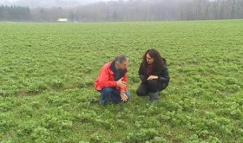 Agriculture sans pesticide: l'exemple Bio