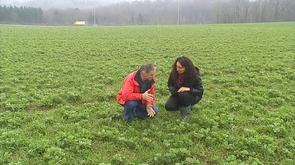 Agriculture sans pesticide: l'exemple Bio