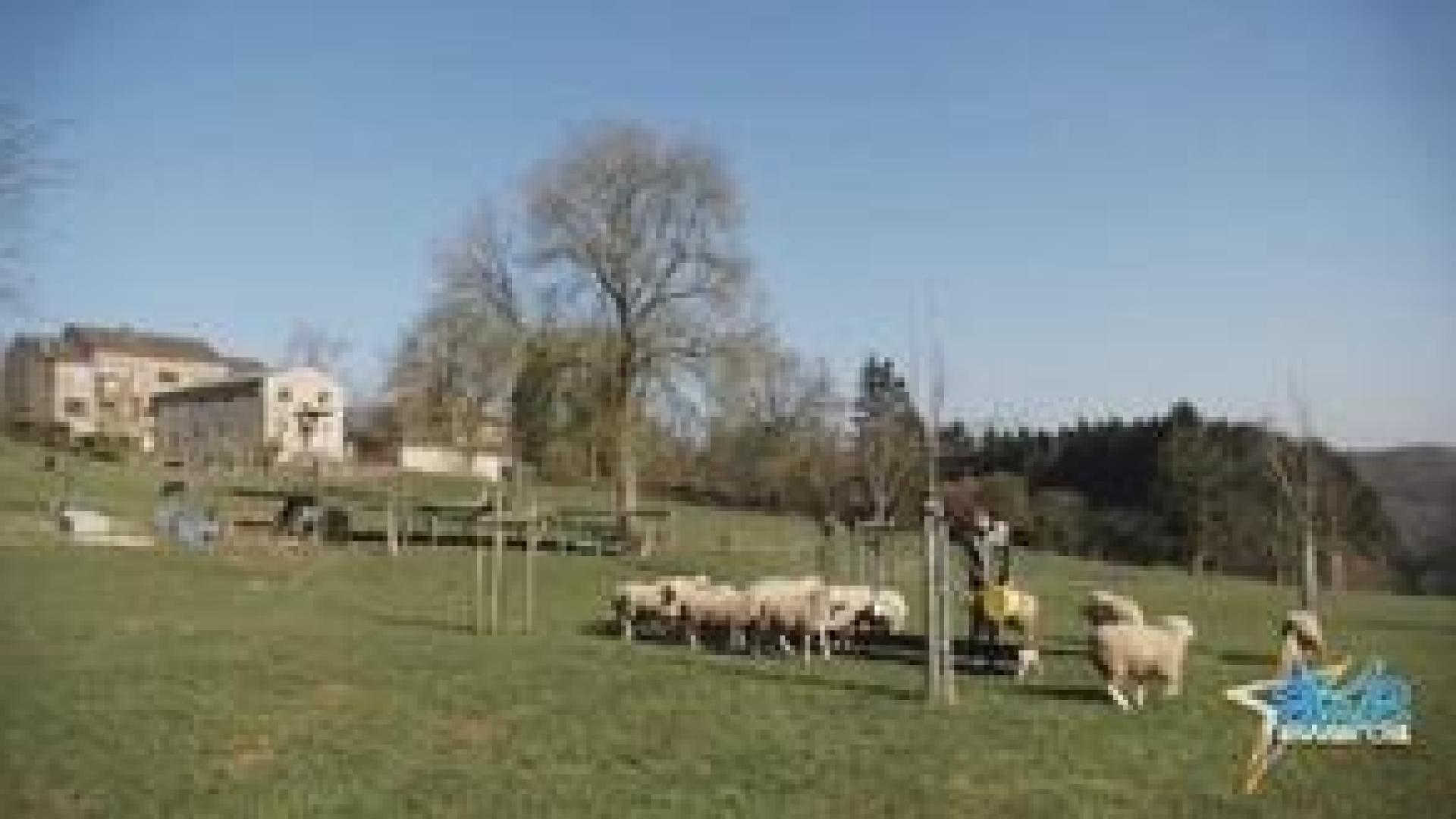 Awé : grande soirée des éleveurs le 14 avril