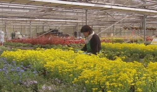 Journée Horti'découvertes