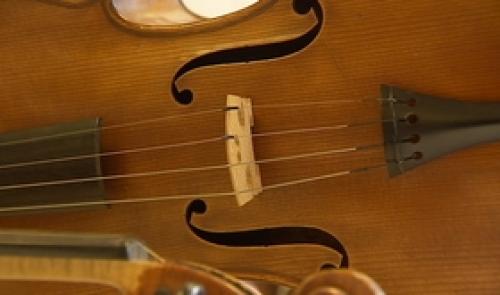 Conservatoire royal de Liège : la réserve instrumentale accessible