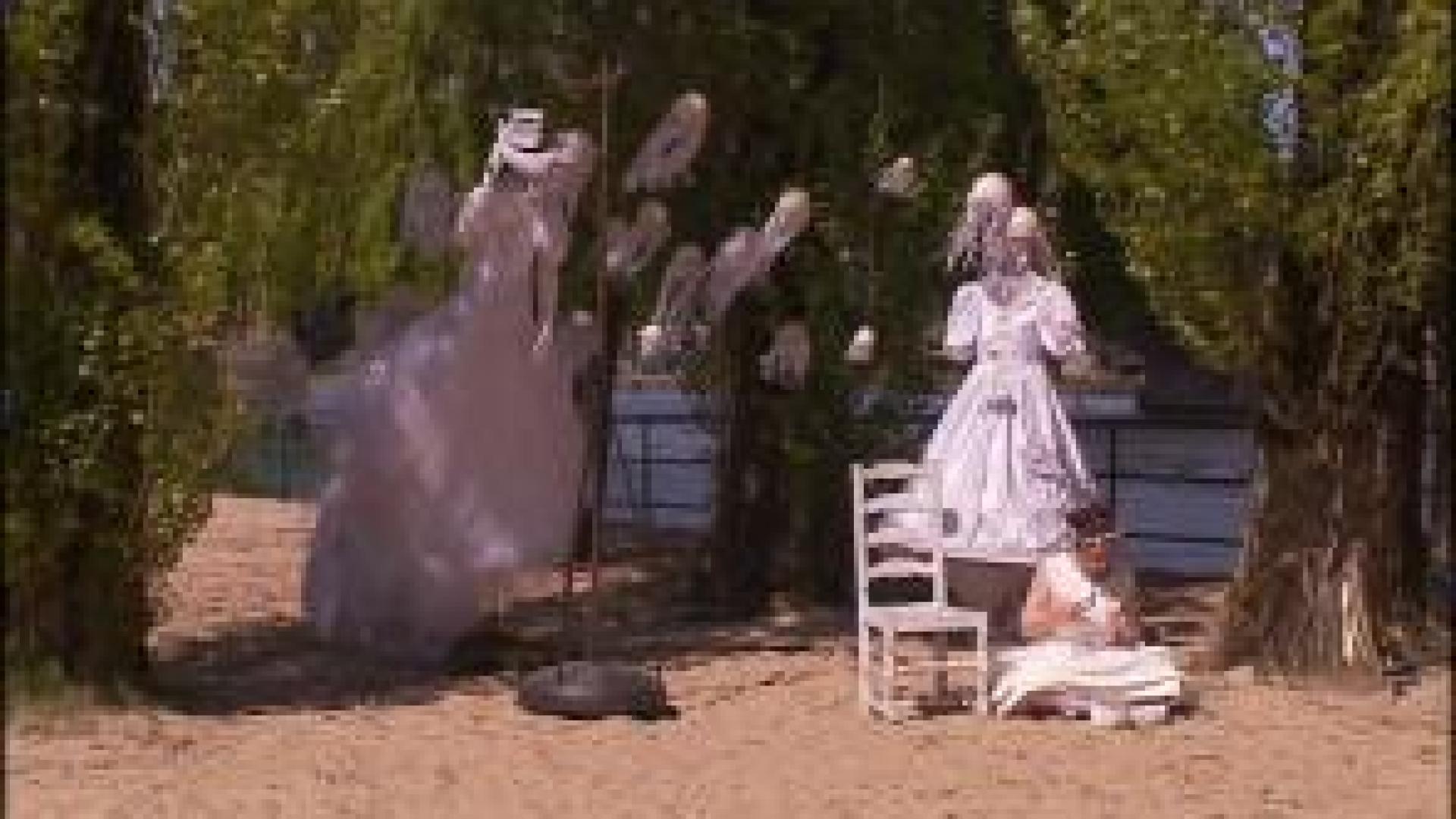 Visé : l'île Robinson complètement métamorphosée