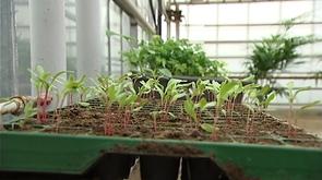 Journée portes ouvertes du service des plantations de Herstal.
