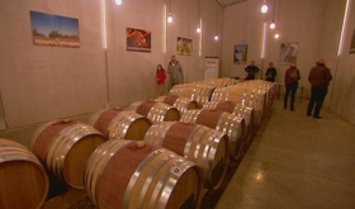 Vin de Liège, journée portes ouvertes.